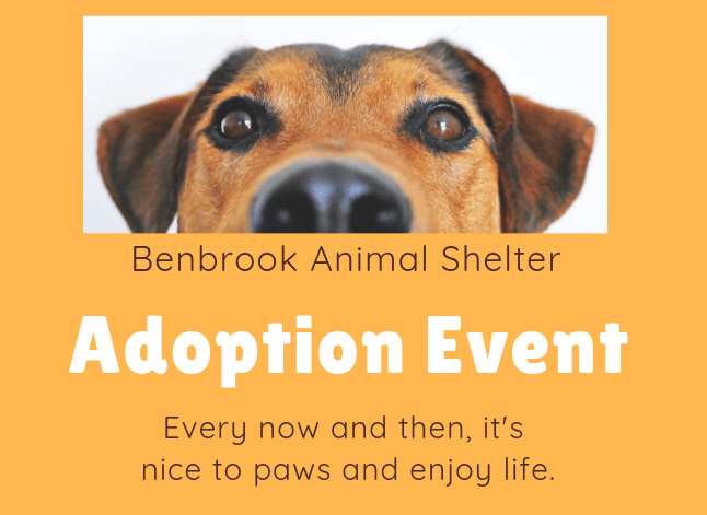 Adoption Event Graphic