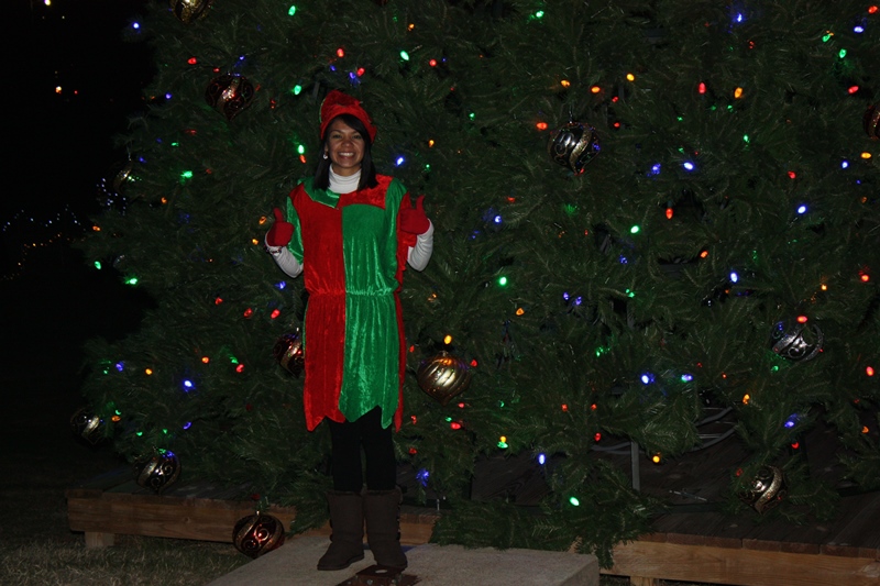 Winter Wonderland & Lighting of the Christmas Tree